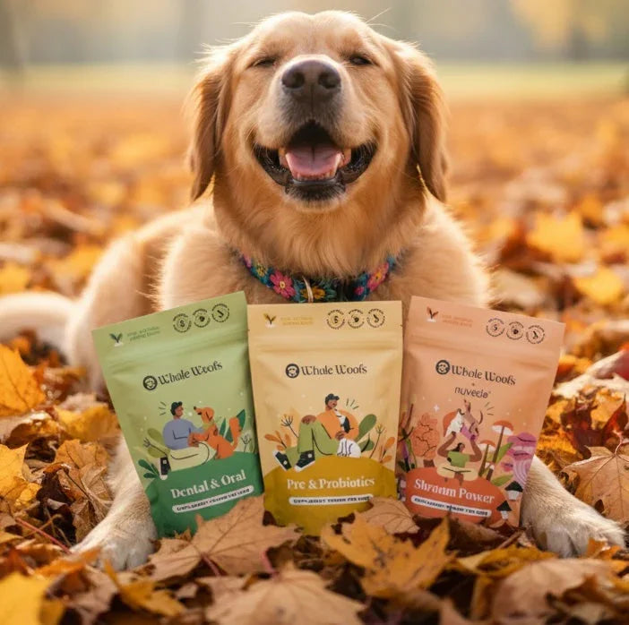 Whole Woofs clinical dog supplements - Dental & Oral, Pre & Probiotics, and Shroom Power pouches with happy golden retriever in fall leaves