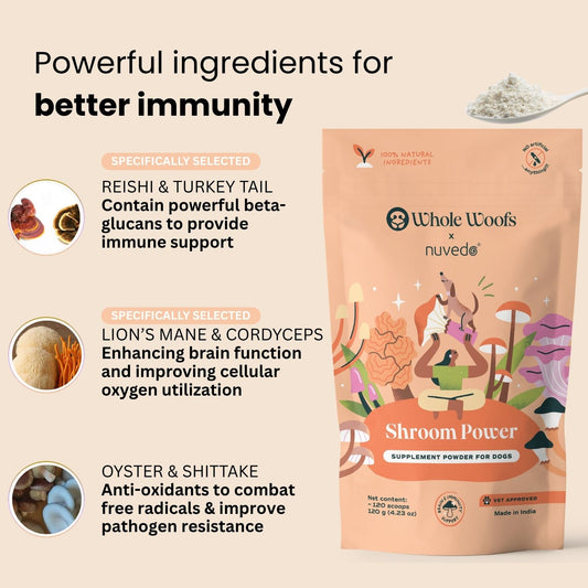 Immunity Foundation Pack