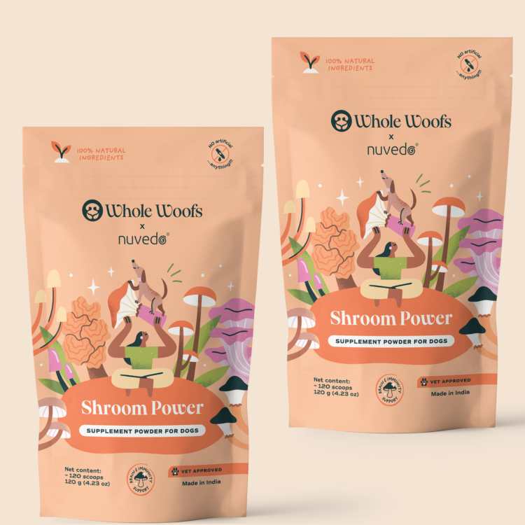 Shroom Power Supplement for Dogs