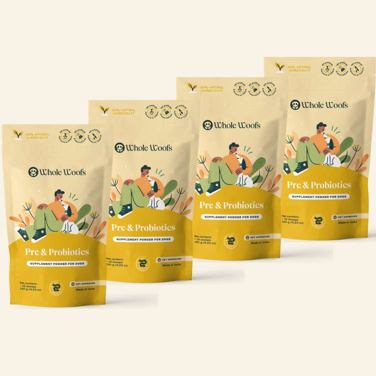 Pre + Probiotics Supplement for Dogs