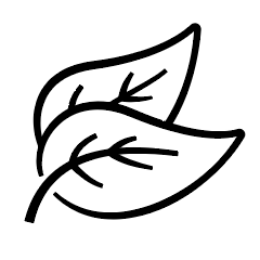 Black line drawing of a leaf on a white background