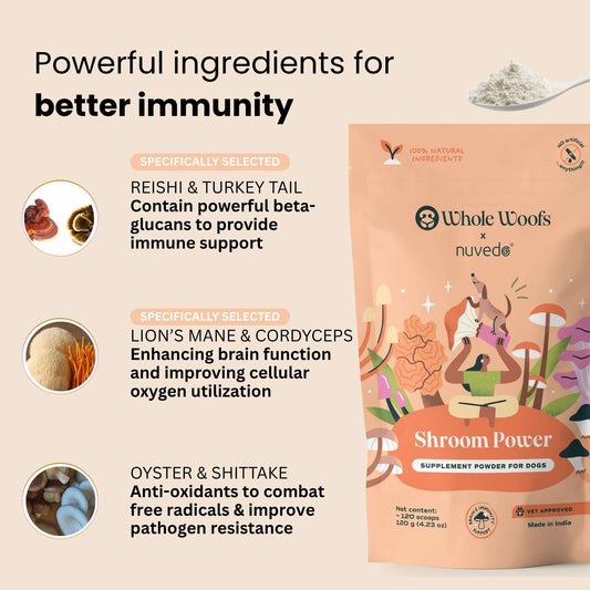 Product packaging for 'Shroom Power' supplement powder with ingredients listed on a beige background