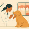 Dental & Oral