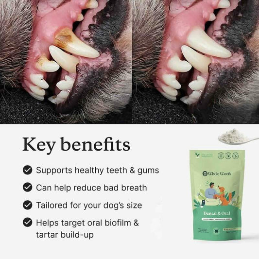 Dental & Oral Supplement for Dogs