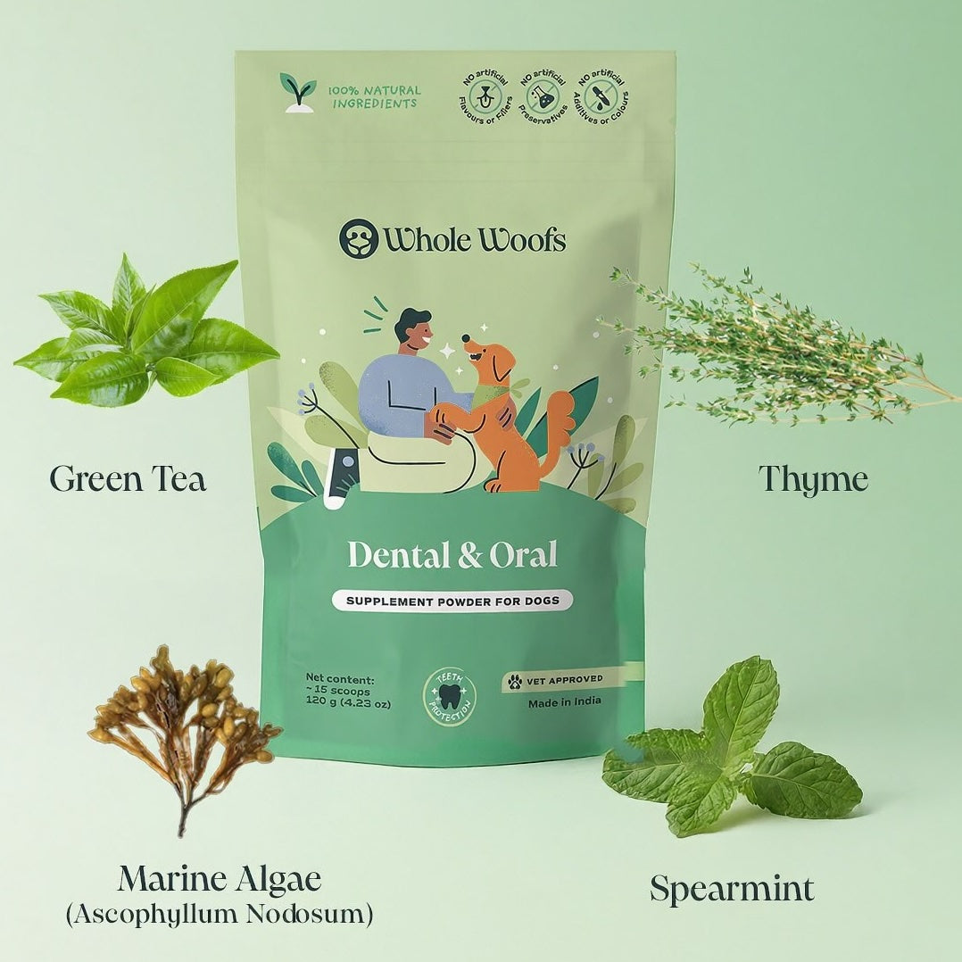 Dental & Oral Supplement Powder