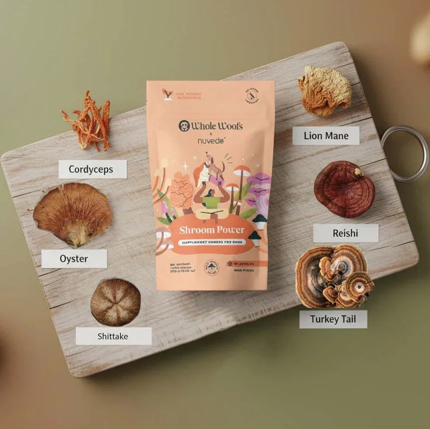 Shroom Power Supplement Powder - Whole Woofs Market