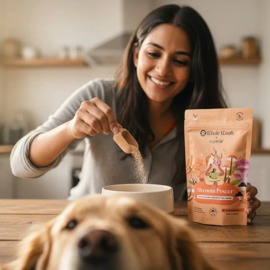 Shroom Power Supplement Powder - Whole Woofs Market