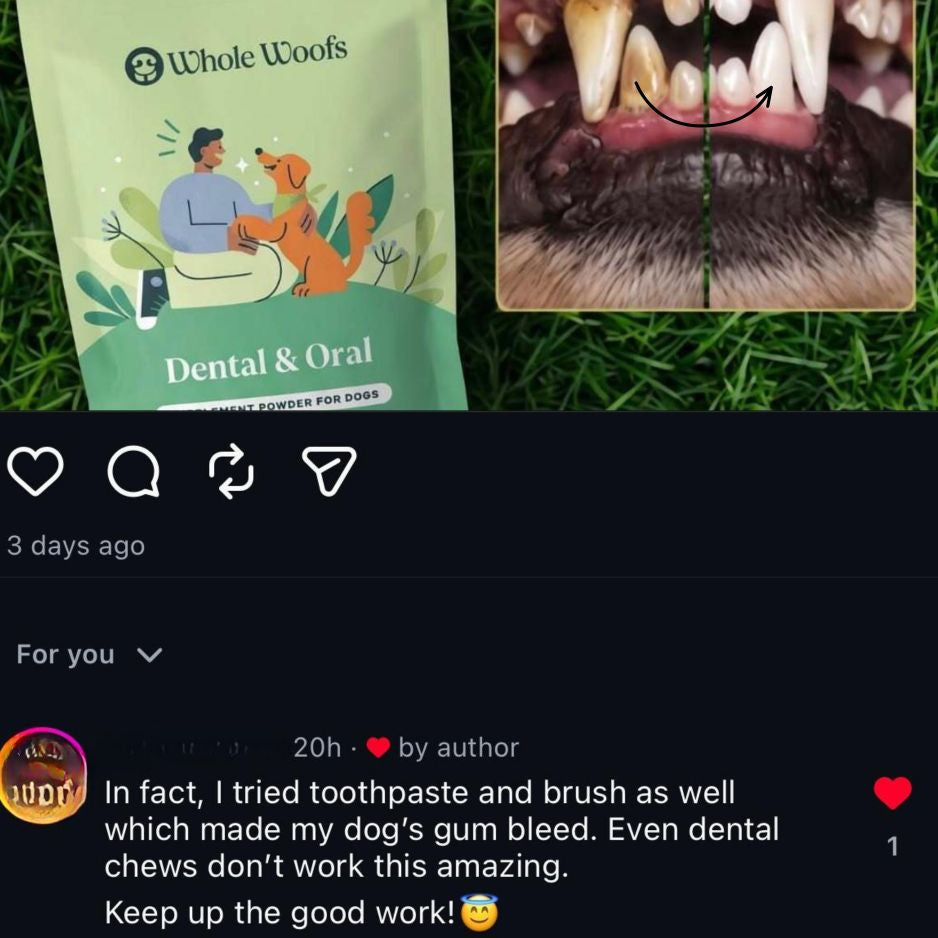 Dental & Oral Supplement for Dogs