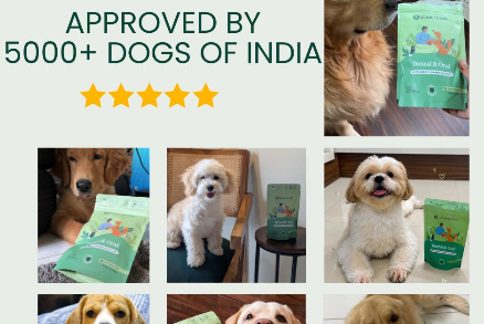 A promotional collage for a dog supplement pouch. The top-left section has text reading 'APPROVED BY 5000+ DOGS OF INDIA' with five gold stars.