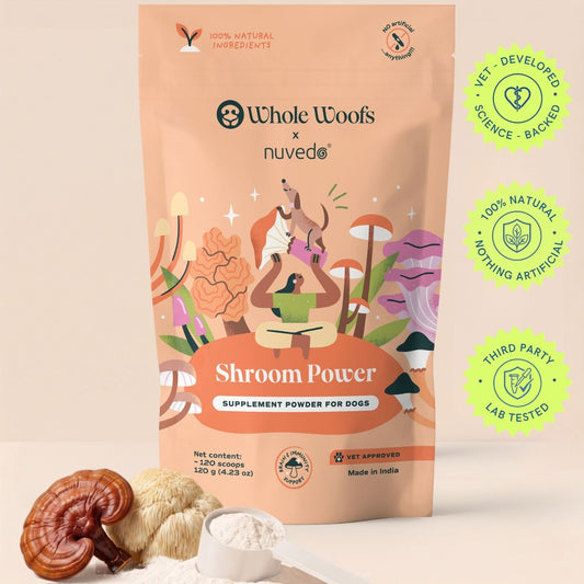 Shroom Power Supplement for Dogs