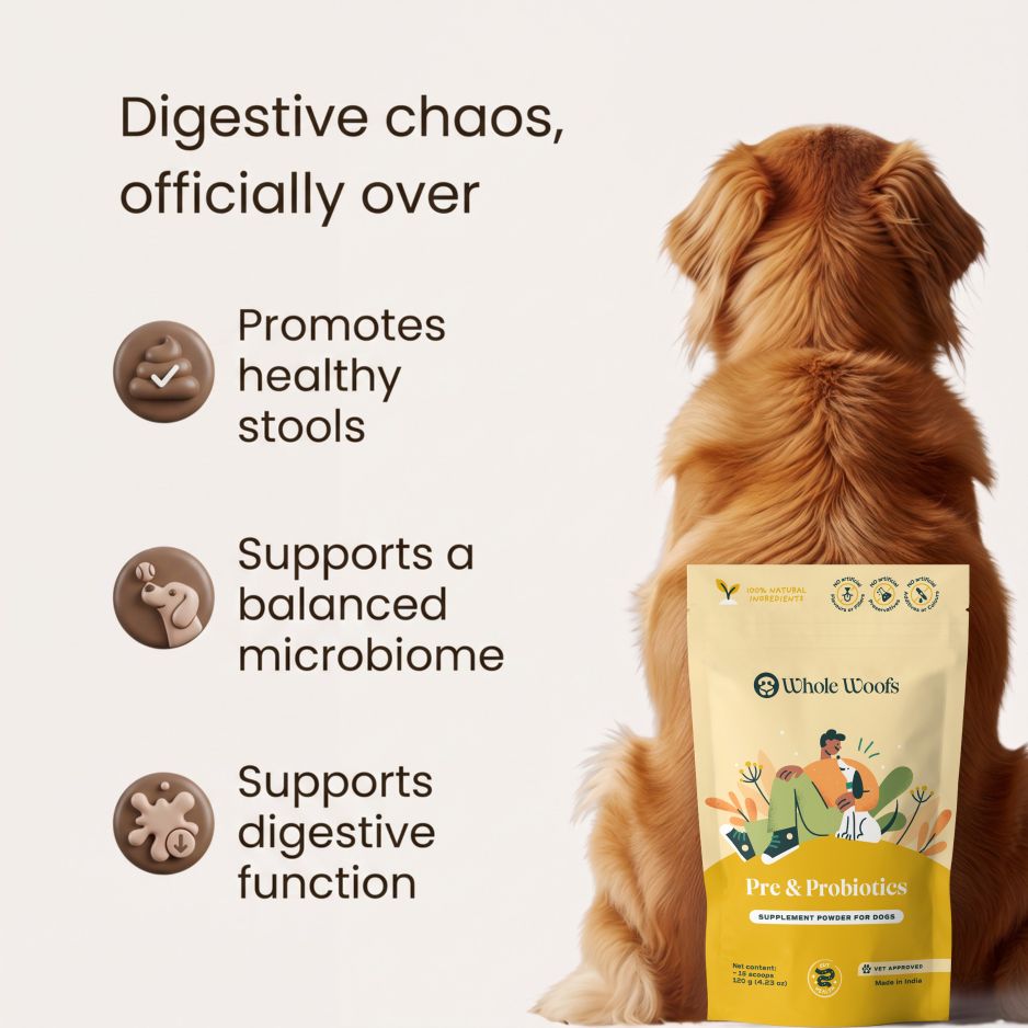 Gut & Dental Essentials Pack