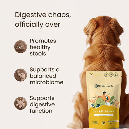 Gut & Dental Essentials Pack