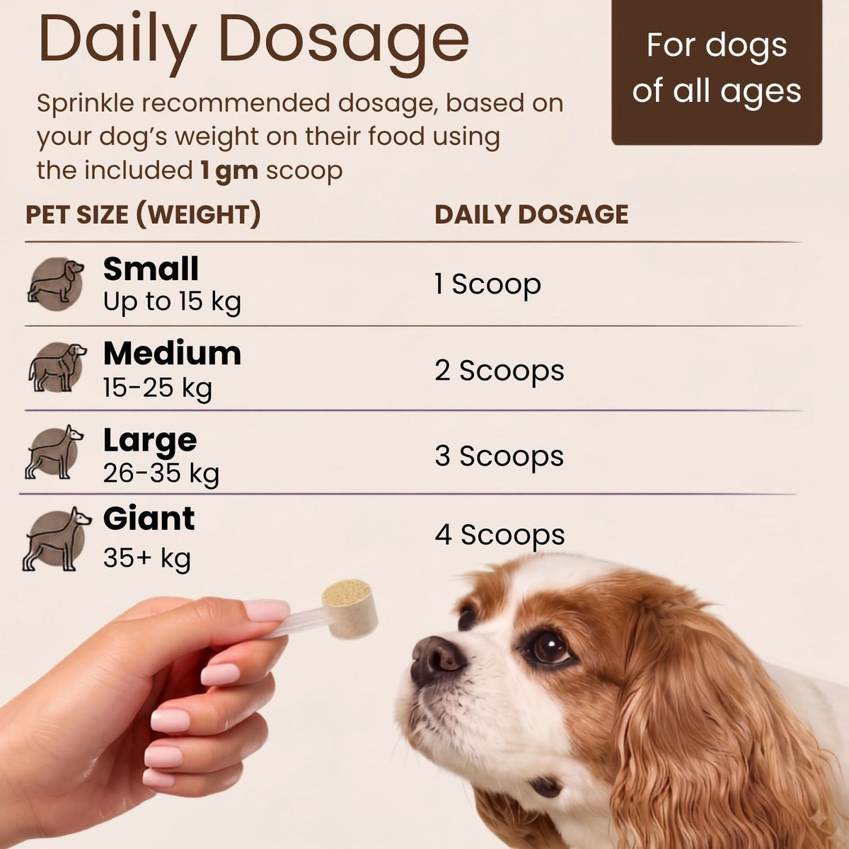 Shroom Power Supplement for Dogs