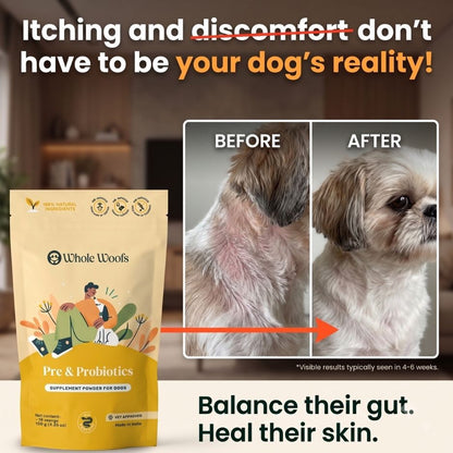 Gut & Dental Essentials Pack
