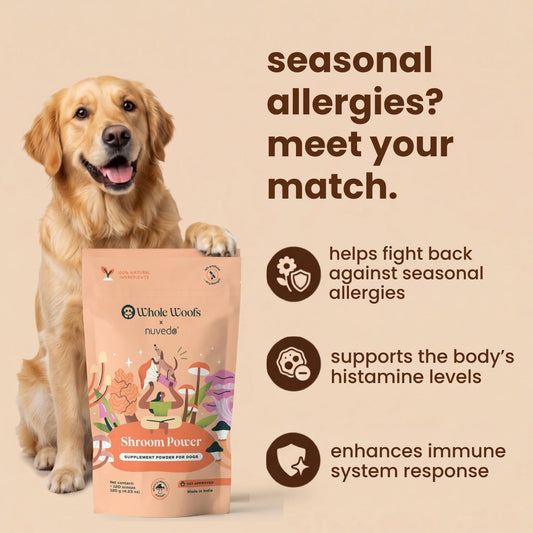 Shroom Power Supplement for Dogs