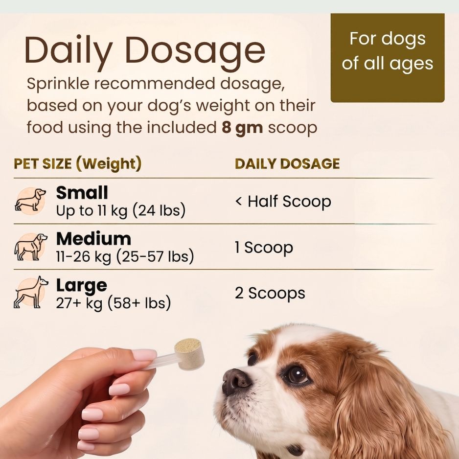Pre + Probiotics Supplement for Dogs