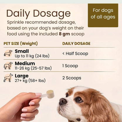 Pre + Probiotics Supplement for Dogs