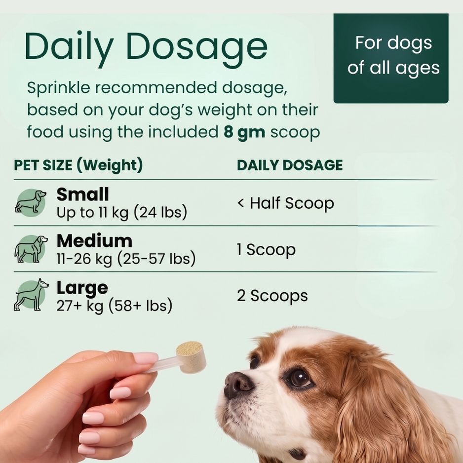 Dental & Oral Supplement for Dogs