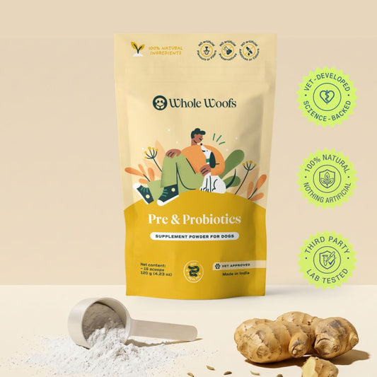 Pre + Probiotics Supplement for Dogs