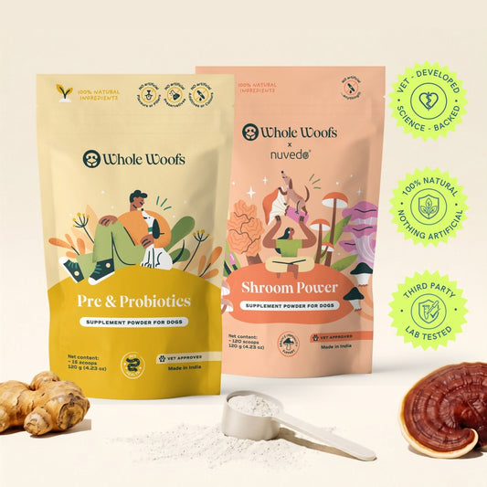 Immunity Foundation Pack