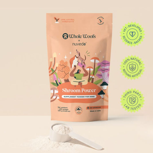 Shroom Power Supplement for Dogs
