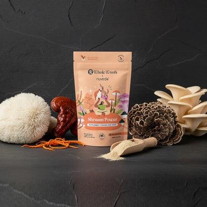 Shroom Power Supplement Powder - Whole Woofs Market
