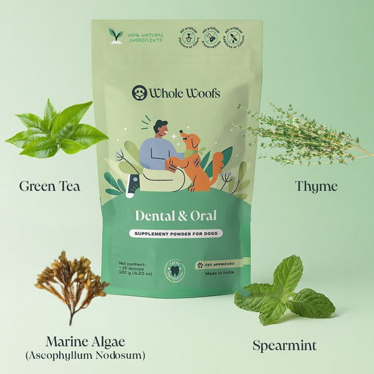 Dental & Oral Supplement Powder