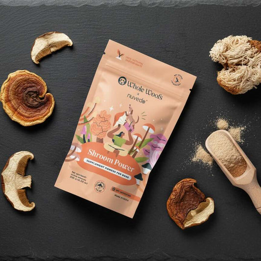 Shroom Power Supplement Powder