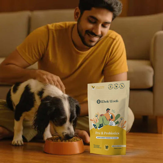 Pre + Probiotics Supplement Powder